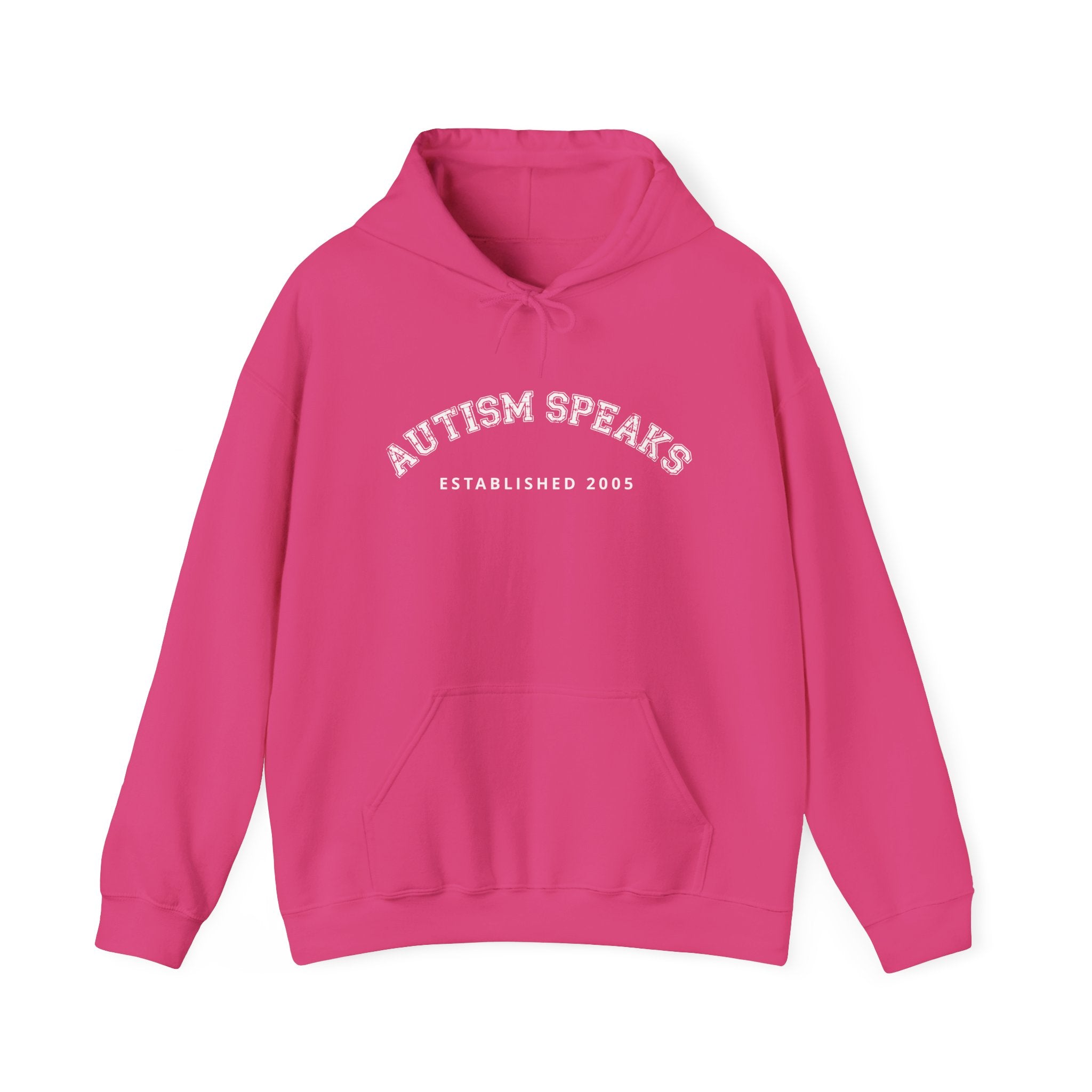 Autism Speaks Established 2005 Classic Heavy Blend Hooded Sweatshirt