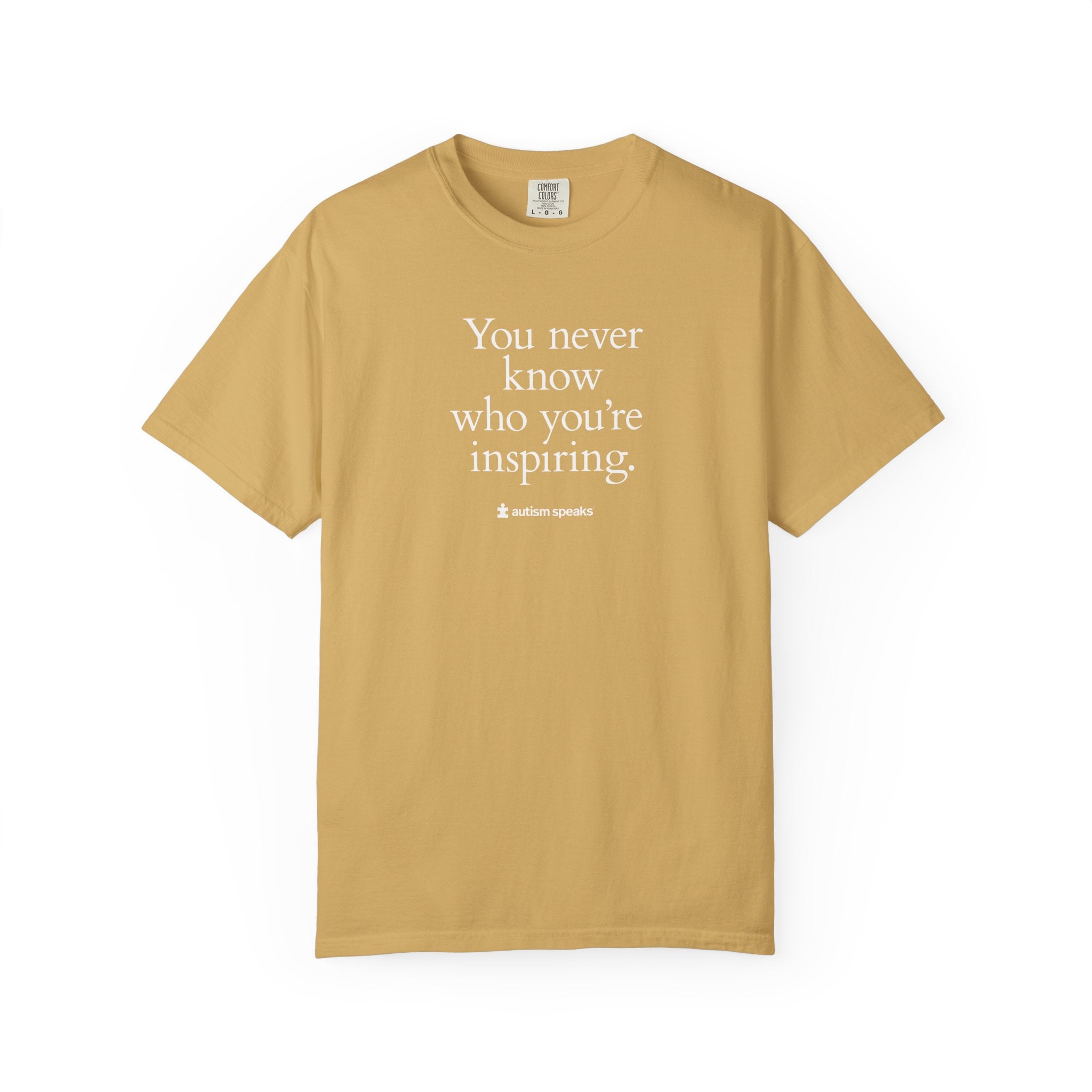 Copy of Inspiring Adult Tee