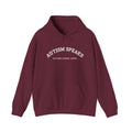 Autism Speaks Established 2005 Classic Heavy Blend Hooded Sweatshirt