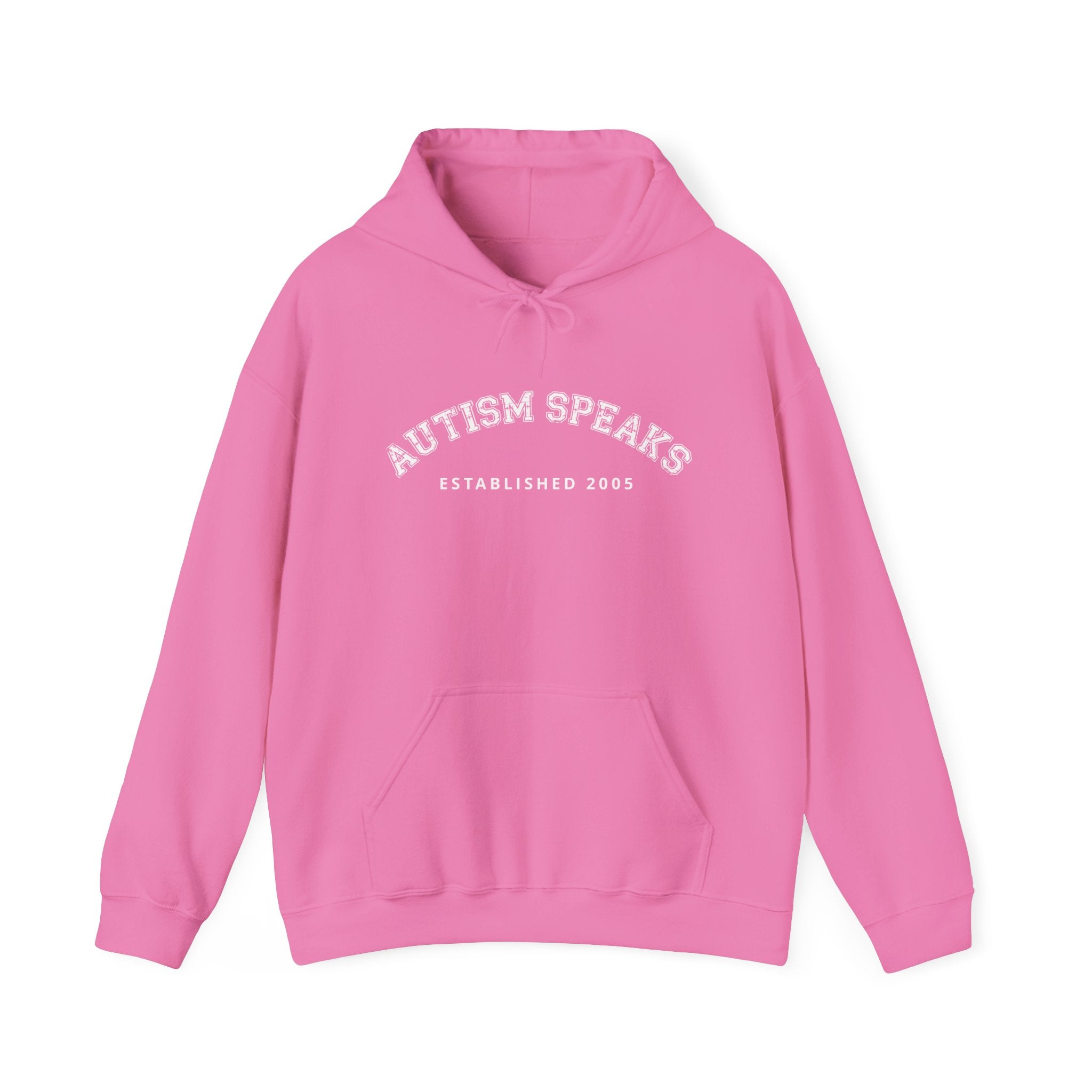 Autism Speaks Established 2005 Classic Heavy Blend Hooded Sweatshirt